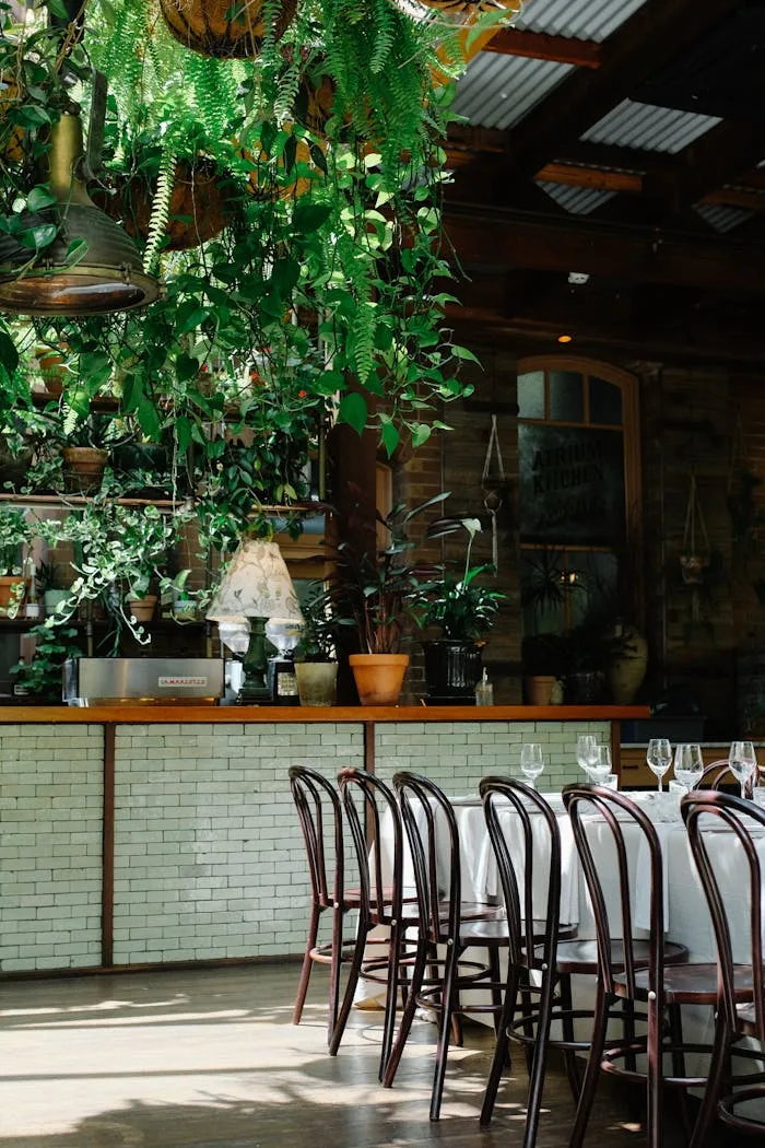 Café Floresta in the trees at Hacienda Pinilla